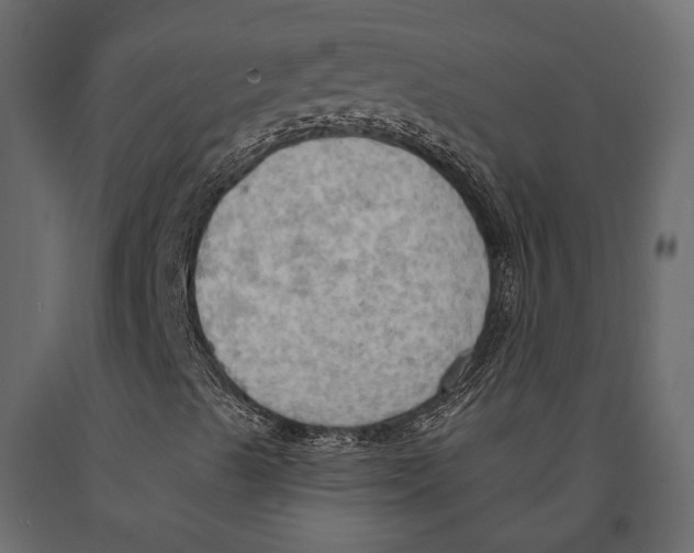 X0000090911489200708270954