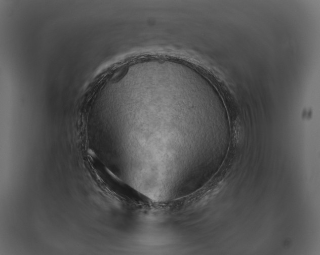 X0000090911494200708270954