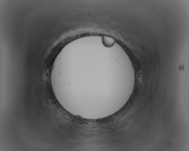 X0000090911495200708270954