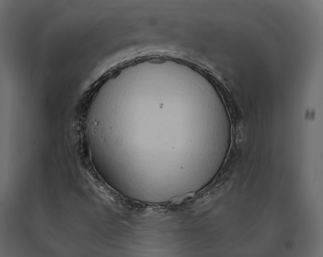 X0000090911496200708270954