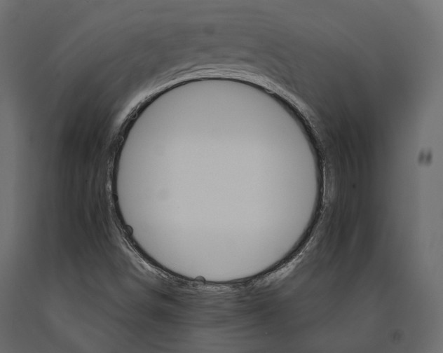 X0000090911498200708270954