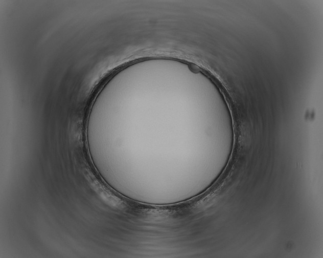 X0000090911499200708270954