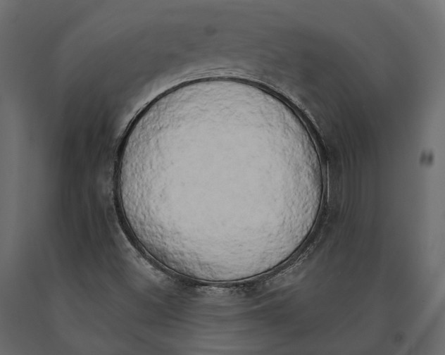 X0000090911500200708270954