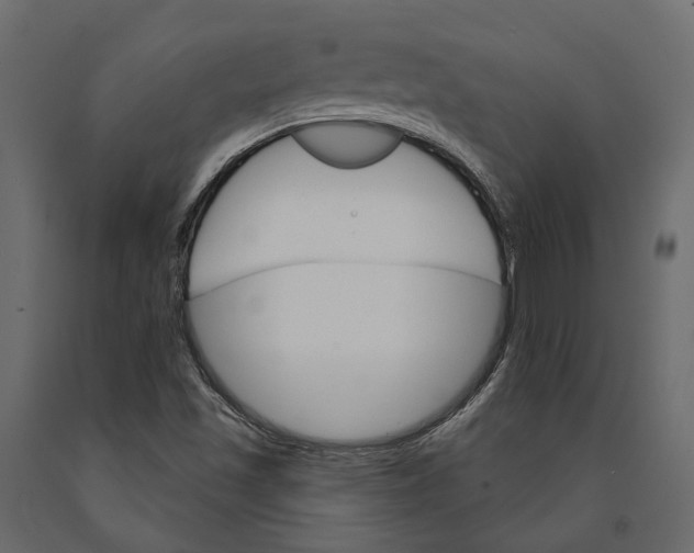 X0000090911501200708270954