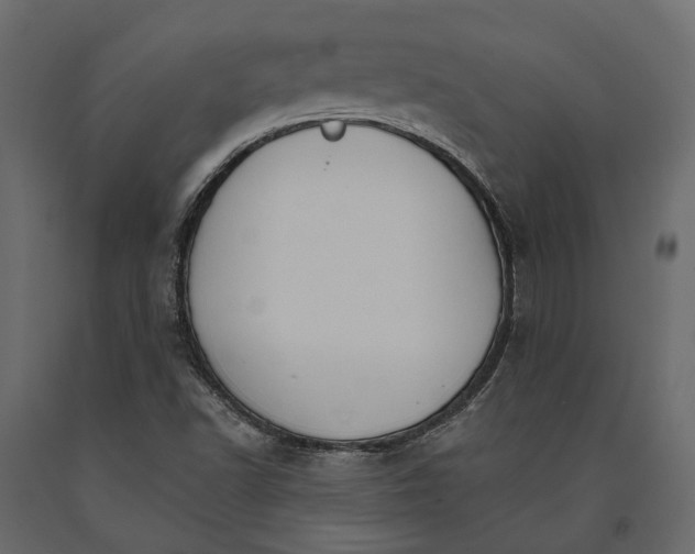 X0000090911502200708270954