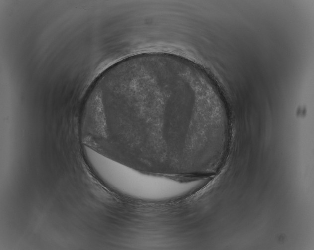 X0000090911505200708270954