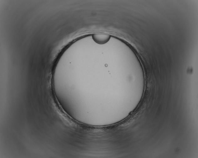 X0000090911507200708270954