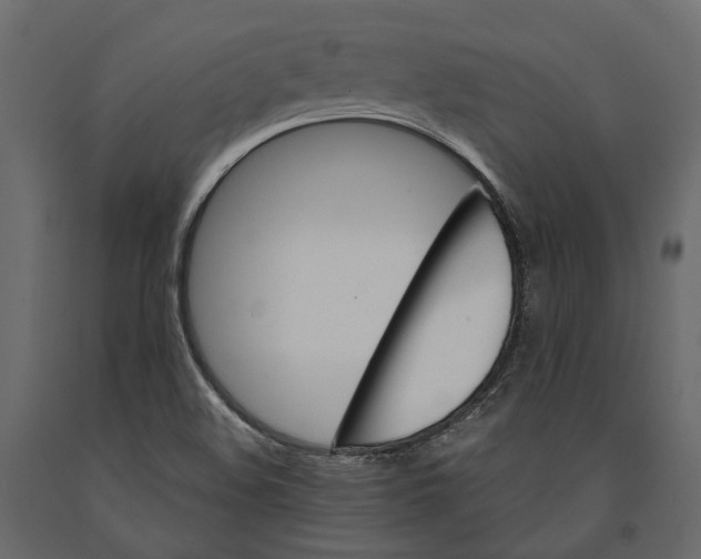 X0000090911508200708270954