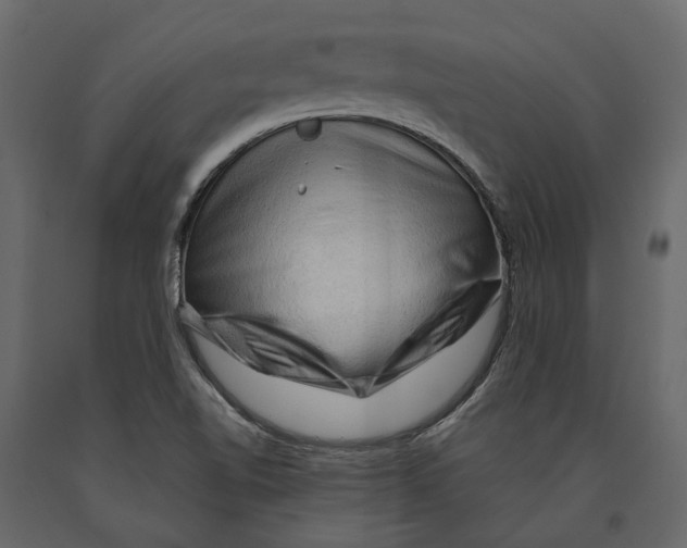 X0000090911510200708270954