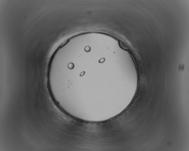 X0000090911512200708270954