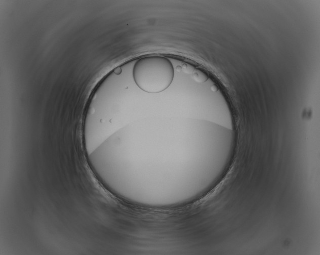 X0000090911513200708270954