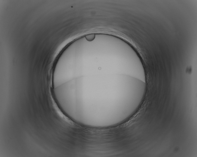 X0000090911515200708270954