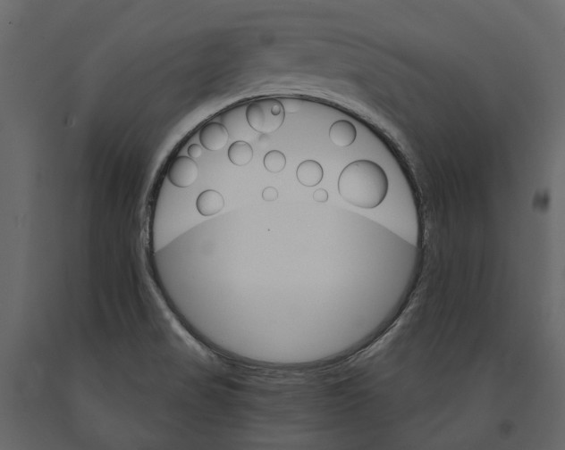 X0000090911517200708270954