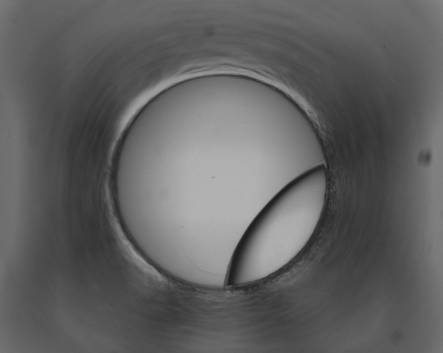 X0000090911518200708270954