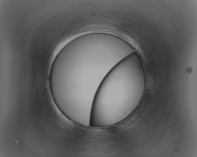 X0000090911520200708270954