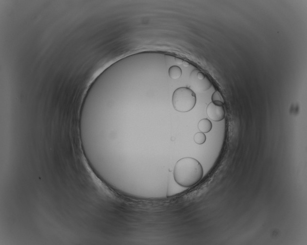 X0000090911521200708270954