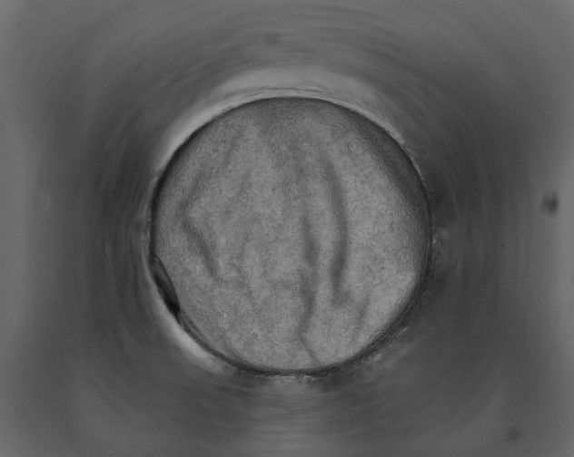 X0000090911523200708270954