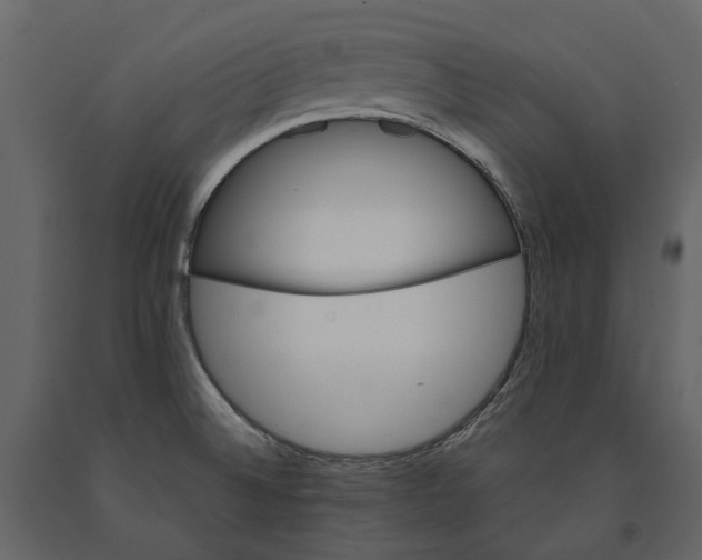 X0000090911524200708270954