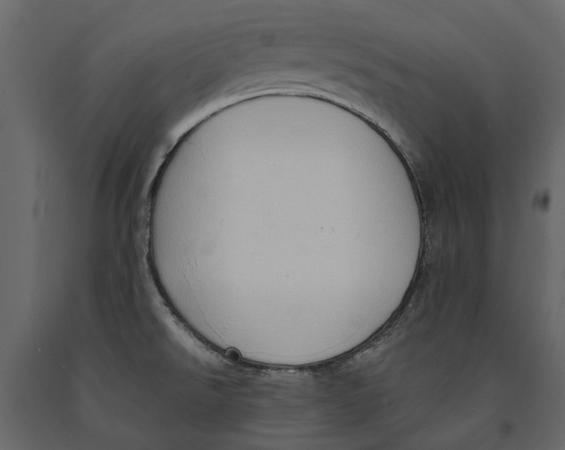 X0000090911526200708270954