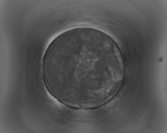 X0000090911527200708270954