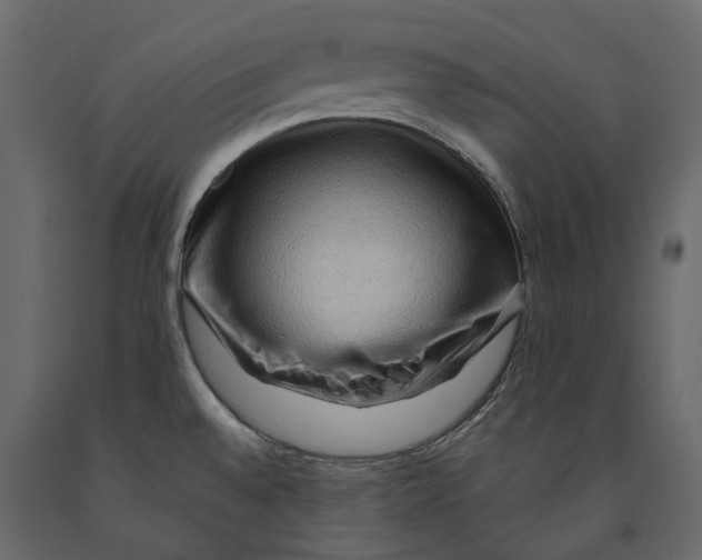 X0000090911528200708270954