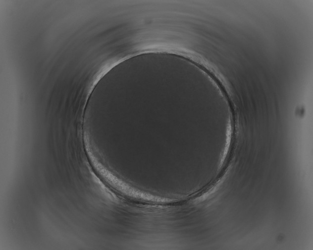 X0000090911529200708270954