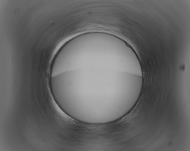 X0000090911531200708270954