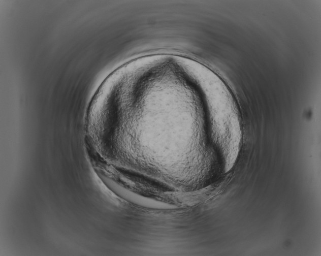 X0000090911532200708270954