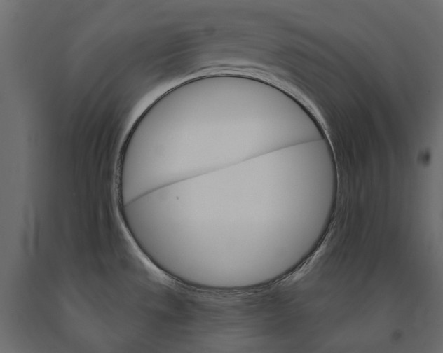 X0000090911533200708270954