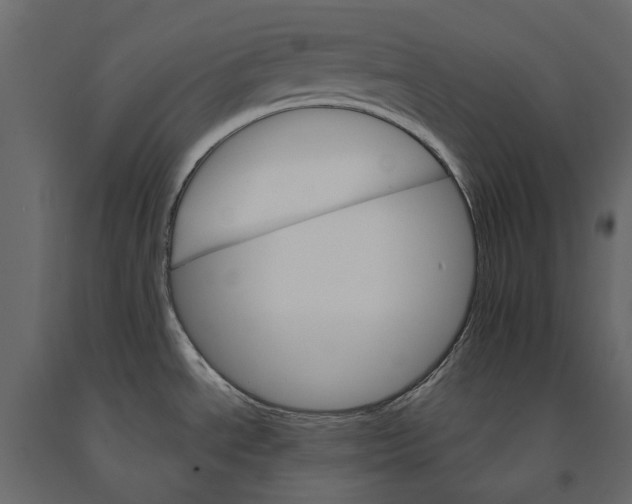 X0000090911534200708270954