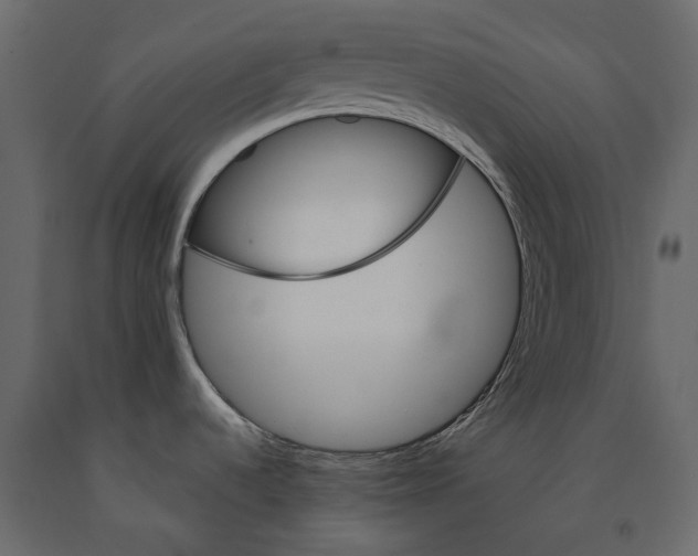 X0000090911536200708270954