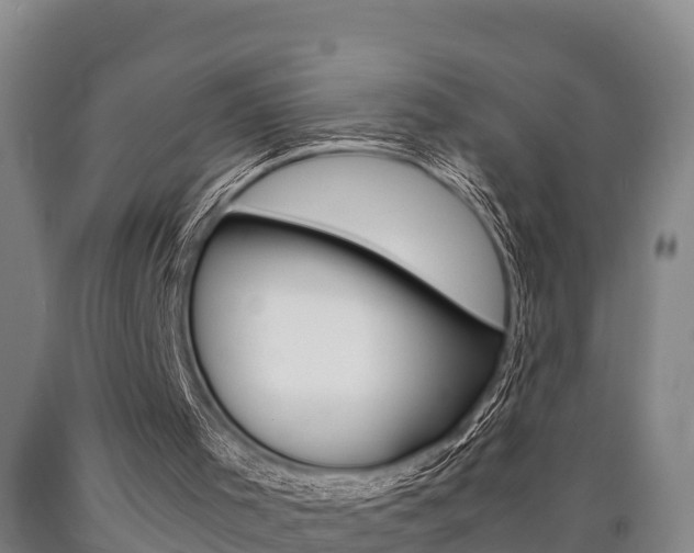 X0000090920001200707301104