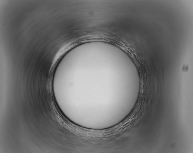 X0000090920004200707301104