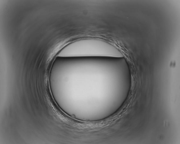 X0000090920005200707301104