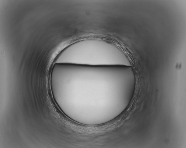 X0000090920006200707301104