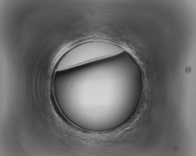 X0000090920007200707301104
