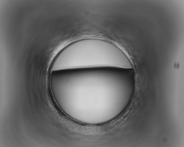 X0000090920008200707301104