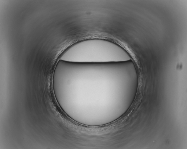 X0000090920010200707301104