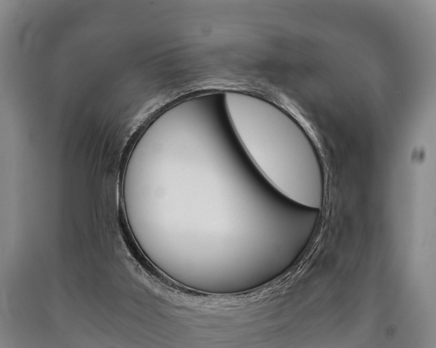 X0000090920011200707301104