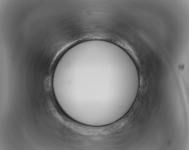 X0000090920012200707301104