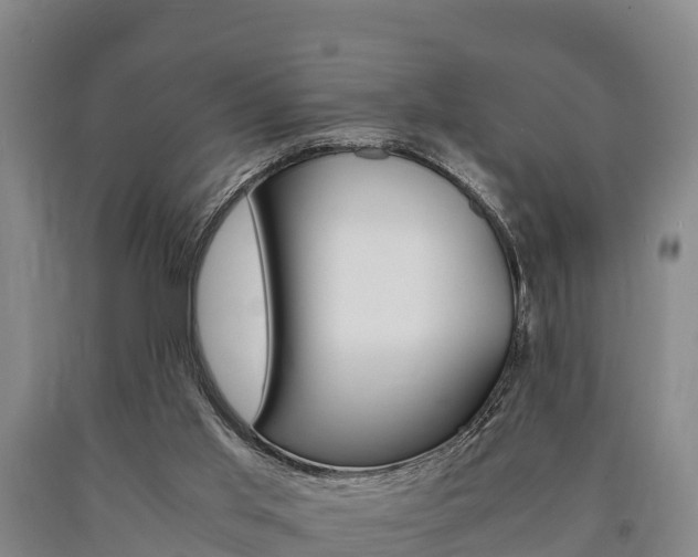 X0000090920013200707301104