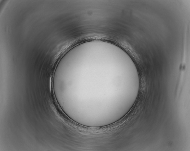 X0000090920014200707301104