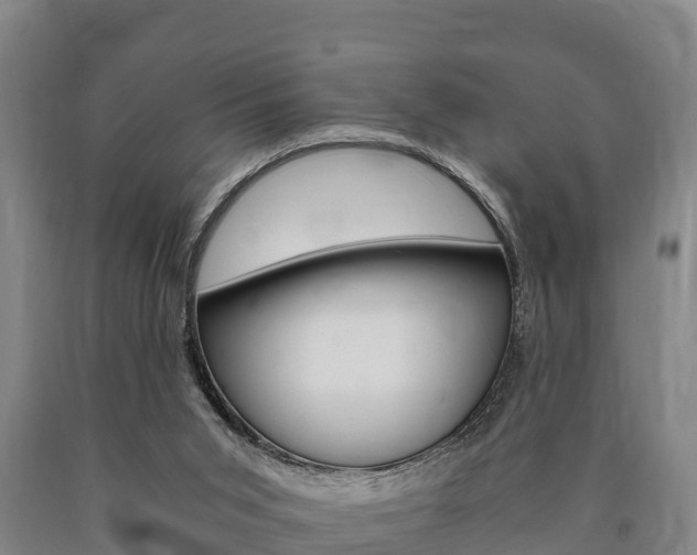 X0000090920015200707301104