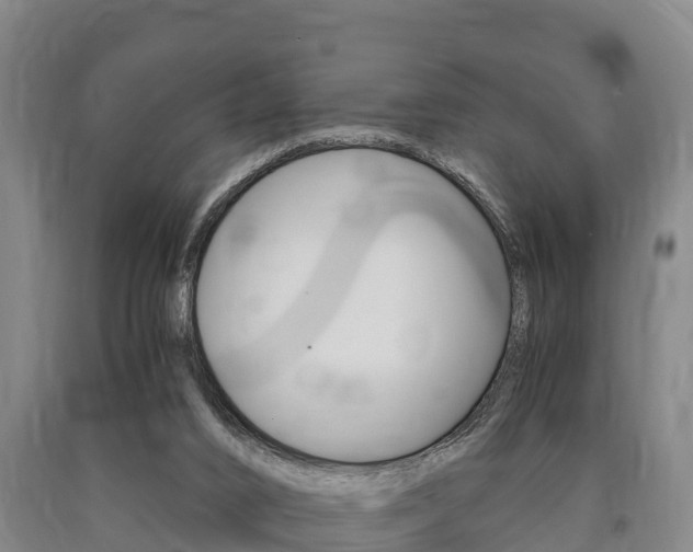 X0000090920016200707301103