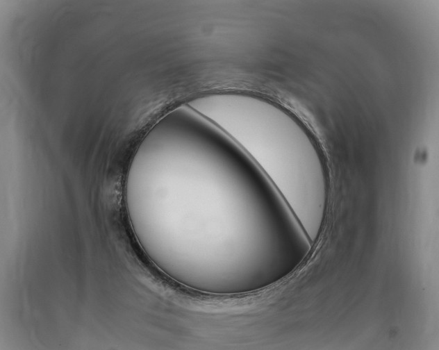 X0000090920017200707301103