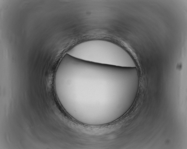 X0000090920018200707301103