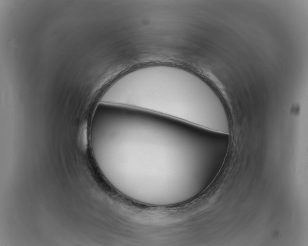 X0000090920020200707301103