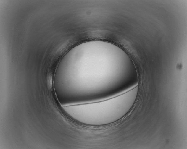 X0000090920021200707301103