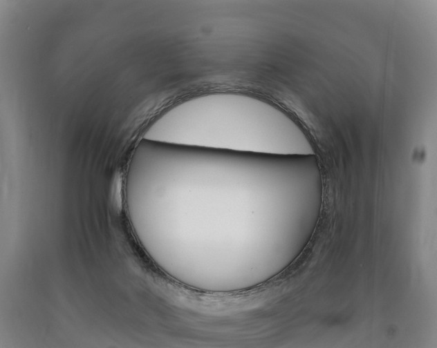 X0000090920022200707301103