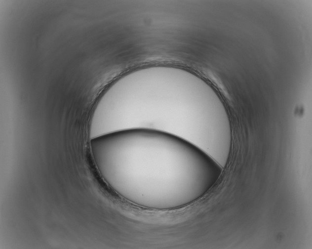X0000090920023200707301103